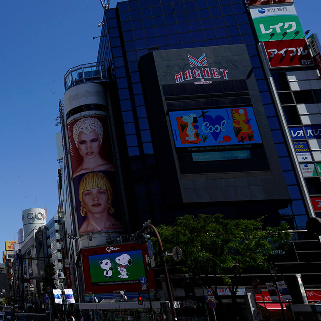 Large murals on the side of a tall building.